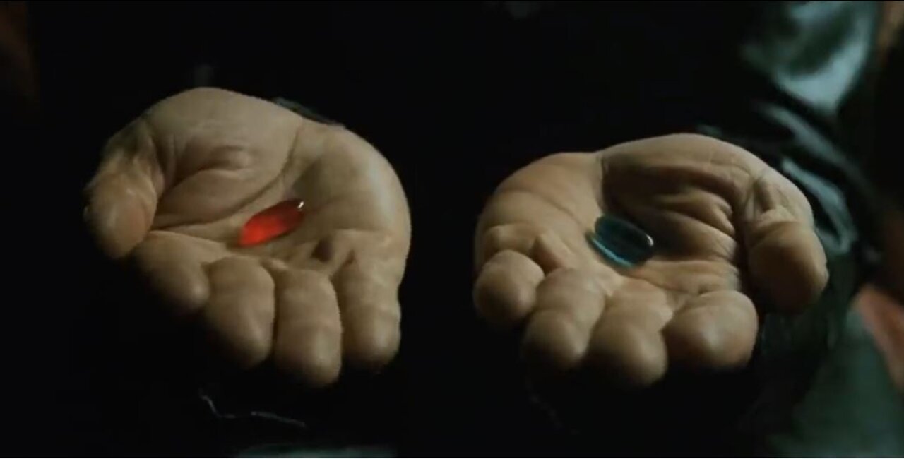 The Matrix: Red Pill or Blue Pill