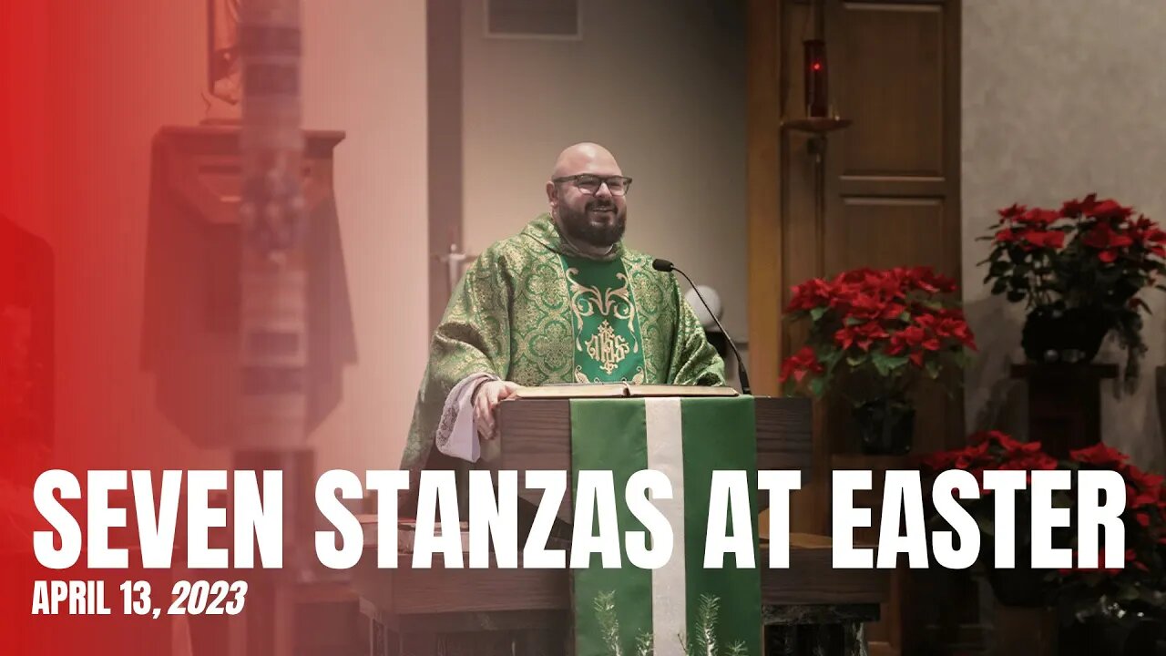 What Was the Resurrected Body of Christ Like? - Fr. Patrick Schultz