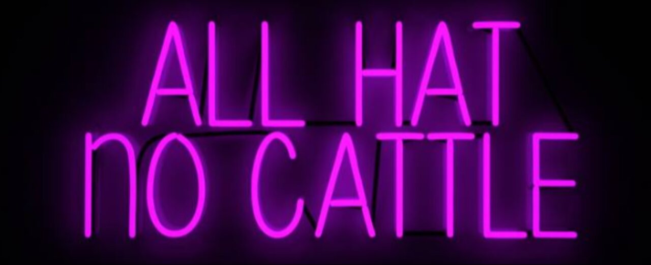 All cattle NO hat