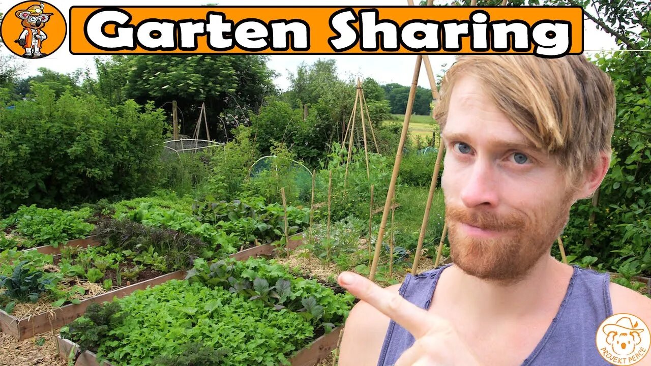 Wie du OHNE eigenen Garten anbauen und ernten kannst