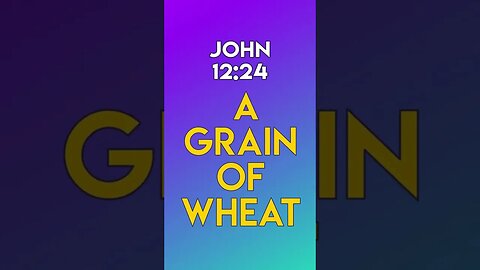 A Grain Of Wheat - John 12:24