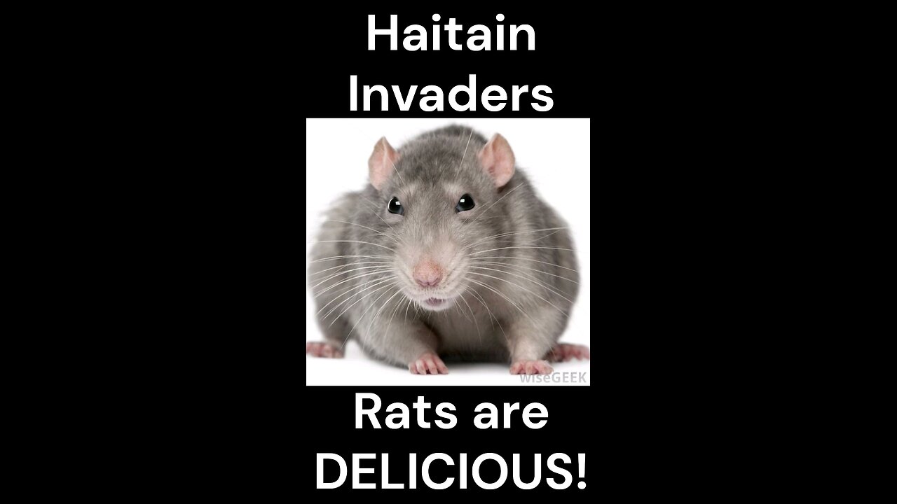 Attn: Haitians...