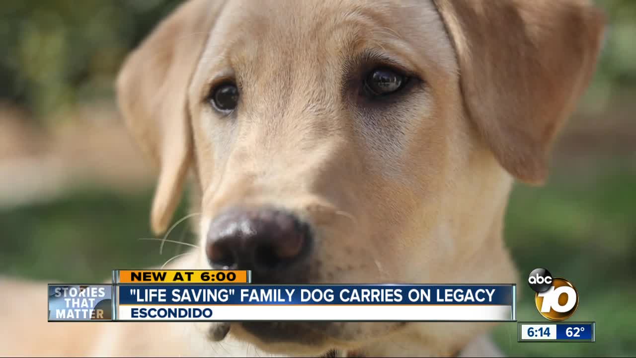 Family clones beloved dog they credit with saving their lives