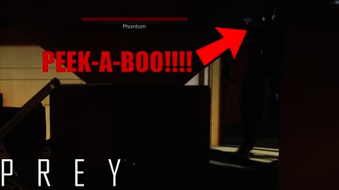 PEEK-A-BOO!!!: Prey #9