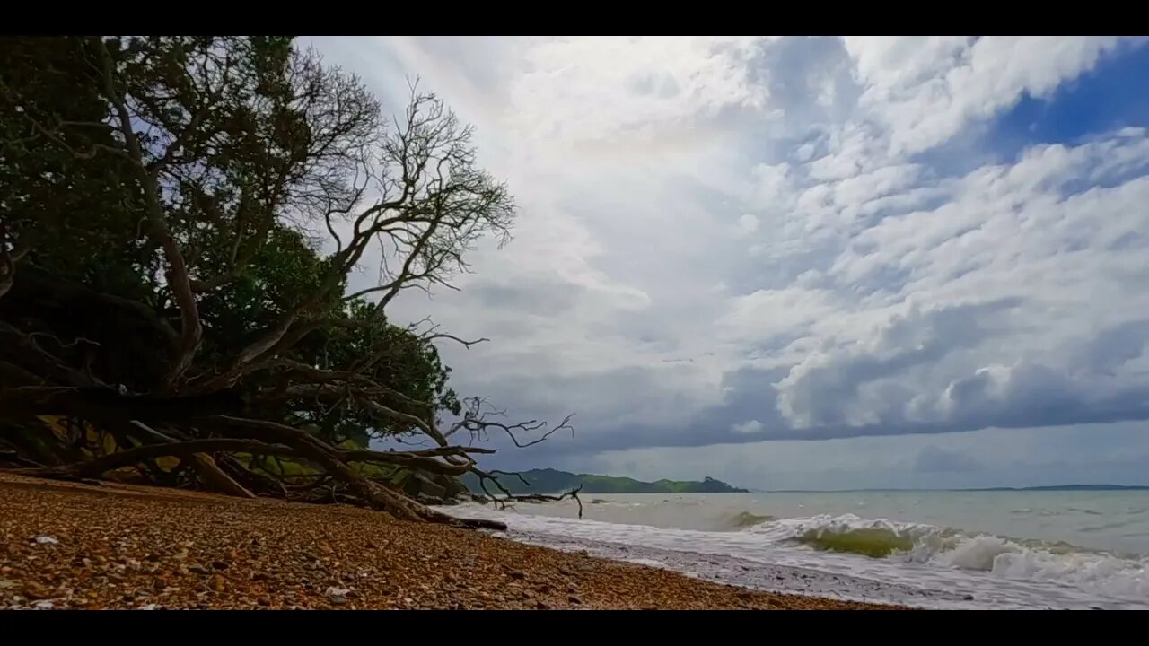 ASMR relaxing ocean waves and NEW ZEALAND Native birdsong sounds background noise