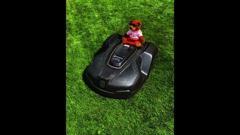 the lawn terminator is on the way