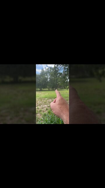 The Rule of Thumb Survival Secret - Calculate Distance Without a Rangefinder!