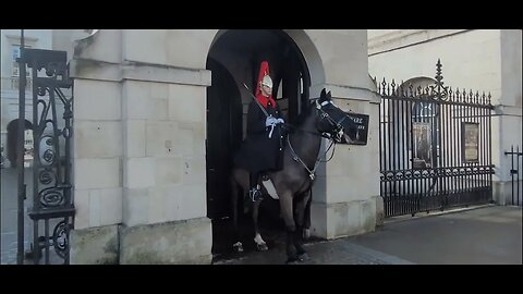 Horse comes out of the box for the 3rd time #horseguardsparade