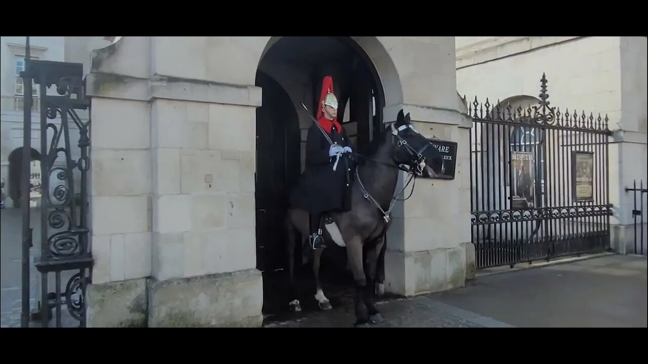 Horse comes out of the box for the 3rd time #horseguardsparade