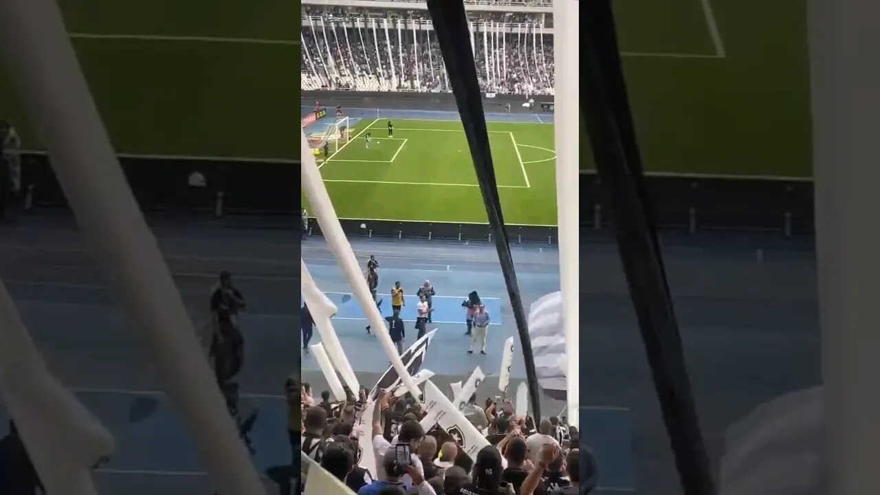 🔥TEXTOR, RAFAEL E TIQUINHO FAZEM A FESTA COM A TORCIDA ALVINEGRA! #botafogo #brasileirão