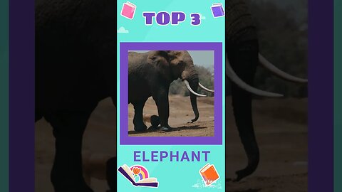 The 3 Tallest Animals on the planet 🌍🐘🦒