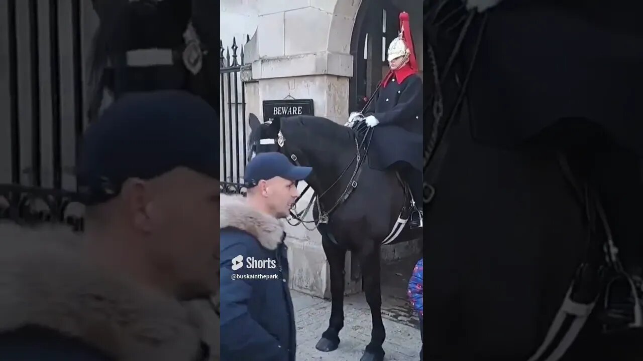 Five times the kings guards had put tourist's in their place #horseguardsparade