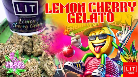 Trying Lemon Cherry Gelato THCa from Lit Farms! The Dank Flamingo Cannabis Review!!