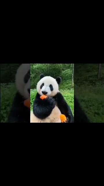 LUNCH Time! 😍😂