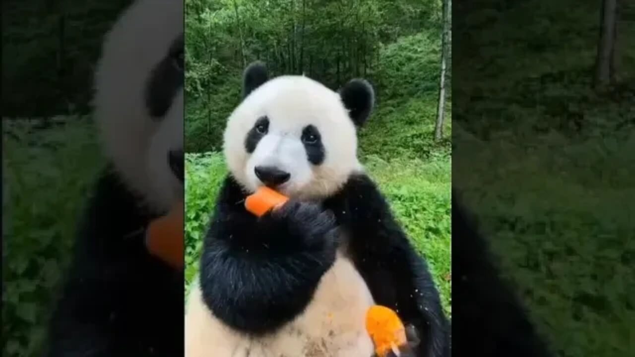 LUNCH Time! 😍😂
