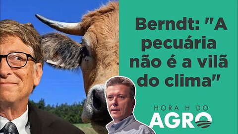 Bill Gates volta a citar emissões de gases da pecuária; entenda! | HORA H DO AGRO