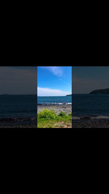 Halifax Down by the Water at Point Pleasant