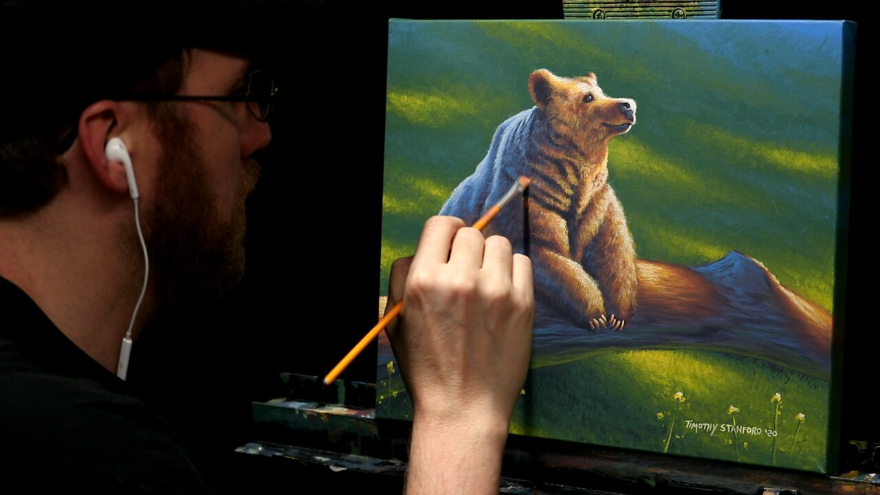 Acrylic Wildlife Painting of a Sitting Bear - Time-lapse - Artist Timothy Stanford