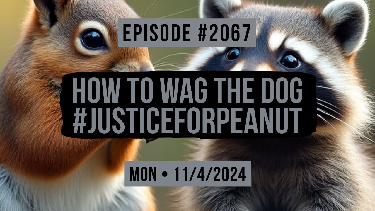 Owen Benjamin | #2067 How To Wag The Dog #JusticeForPeanut