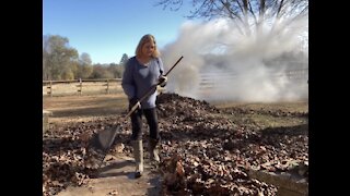 Burning Leaves and Seeing the Cat House