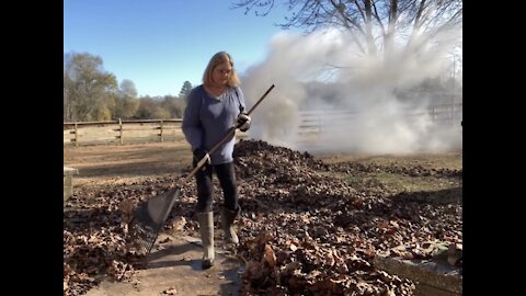 Burning Leaves and Seeing the Cat House