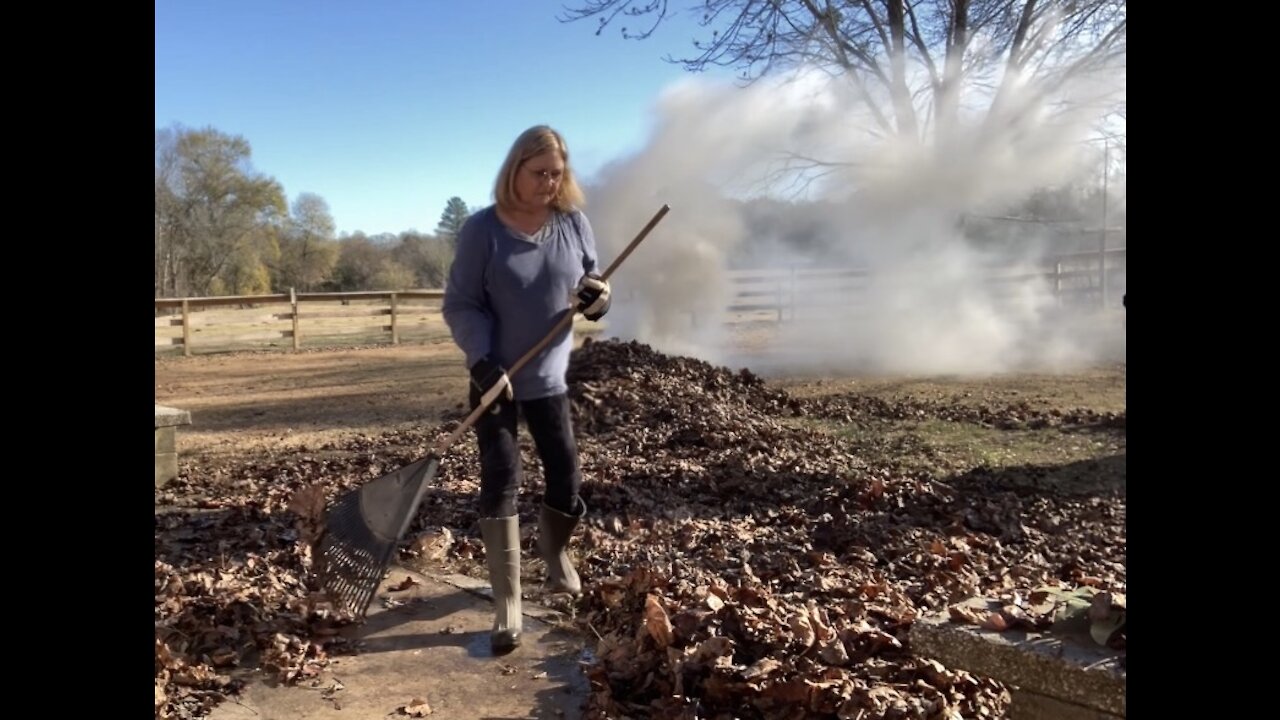 Burning Leaves and Seeing the Cat House