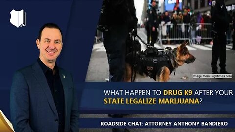 Ep. #315: What happens to drug K9 after your state legalizes marijuana?