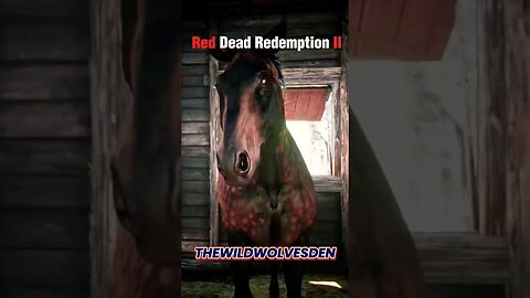 Dutch warmblood 🐴 #shorts #rdr2 #subscribe #trending #youtube