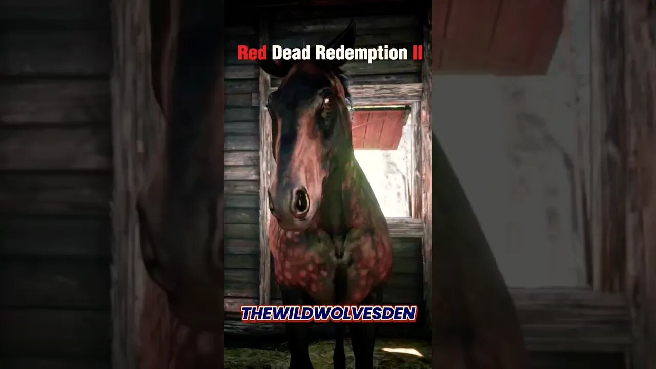 Dutch warmblood 🐴 #shorts #rdr2 #subscribe #trending #youtube