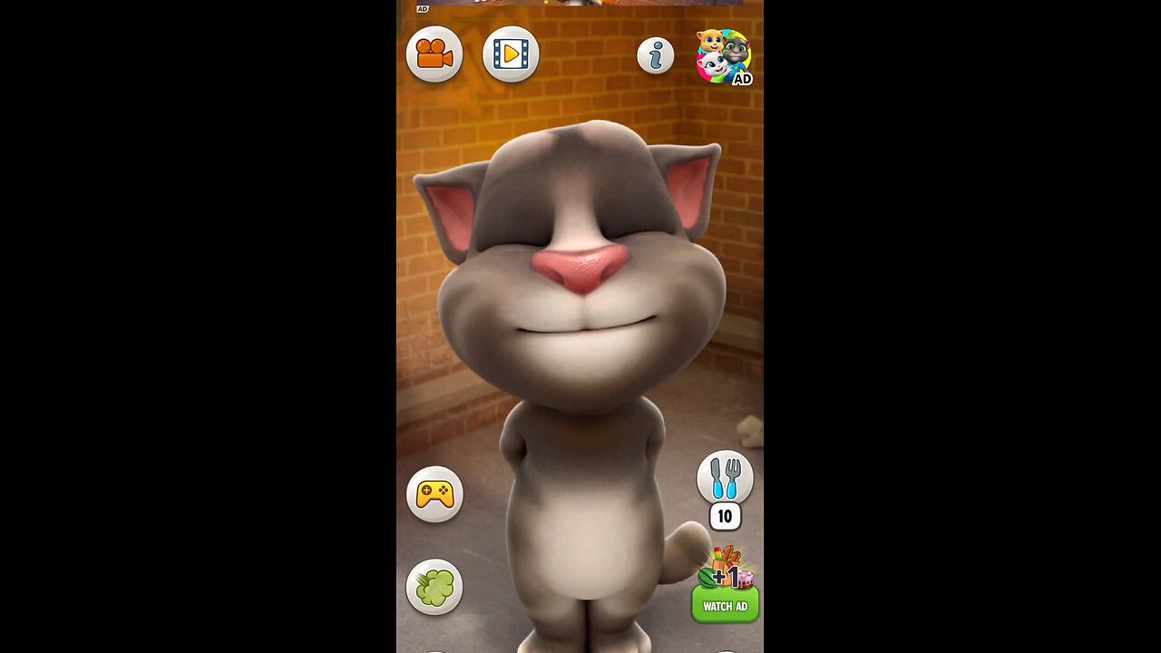 TALKING TOM CAT #SHORT