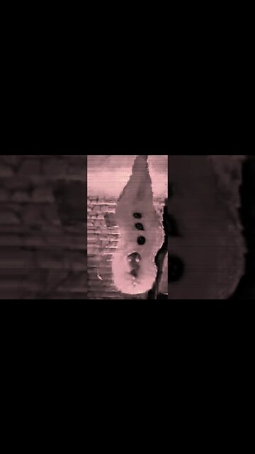 Omg! ghost alien!!😱🥶