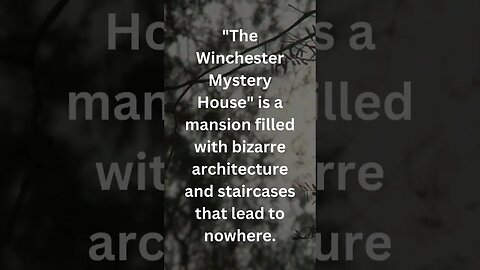 Winchester Mystery #winchester #horror #spook #fyp #viral