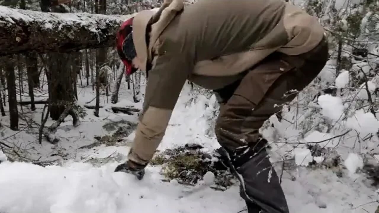 17 && SOLO BUSHCRAFT CAMP 4 Items Only Natural Shelter Wild Game Over the Fire