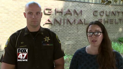 Sgt. Andy Daenzer named Ingham Co. Animal Control acting director