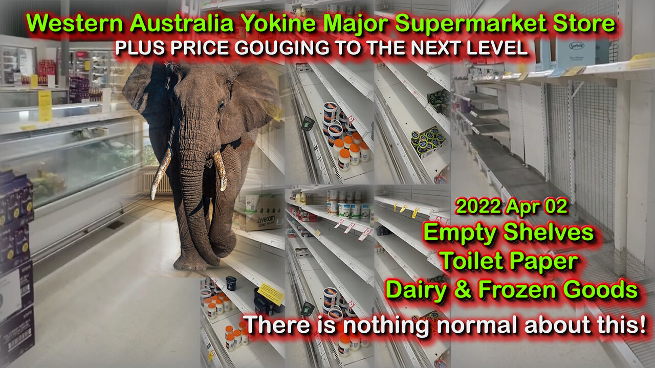 2022 APR 02 WA Supermarkets There Is Nothing Normal About When There Is an Elephant in The Room