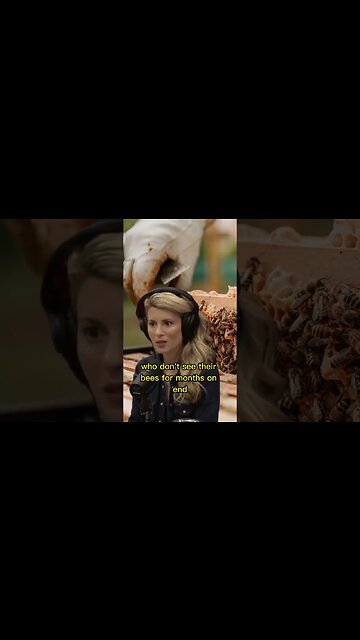 How do commercial beekeepers send bees to frame for pollination? Erika Thompson & Joe Rogan