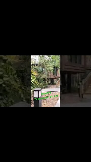 Have You Stayed At One Of Disneys Most Unique Accomodations | Saratoga's Treehouse Villas
