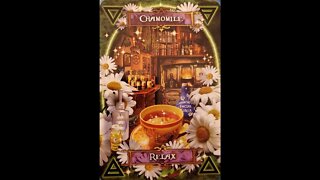 #9 Witches' Kitchen Oracle Cards Chamomile