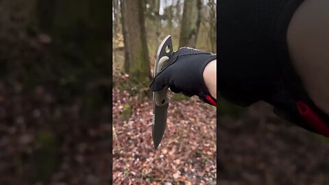 NOW AVAILABLE: 2023 Shed Knives Tuatara | Shed Knives #shedknives #shorts