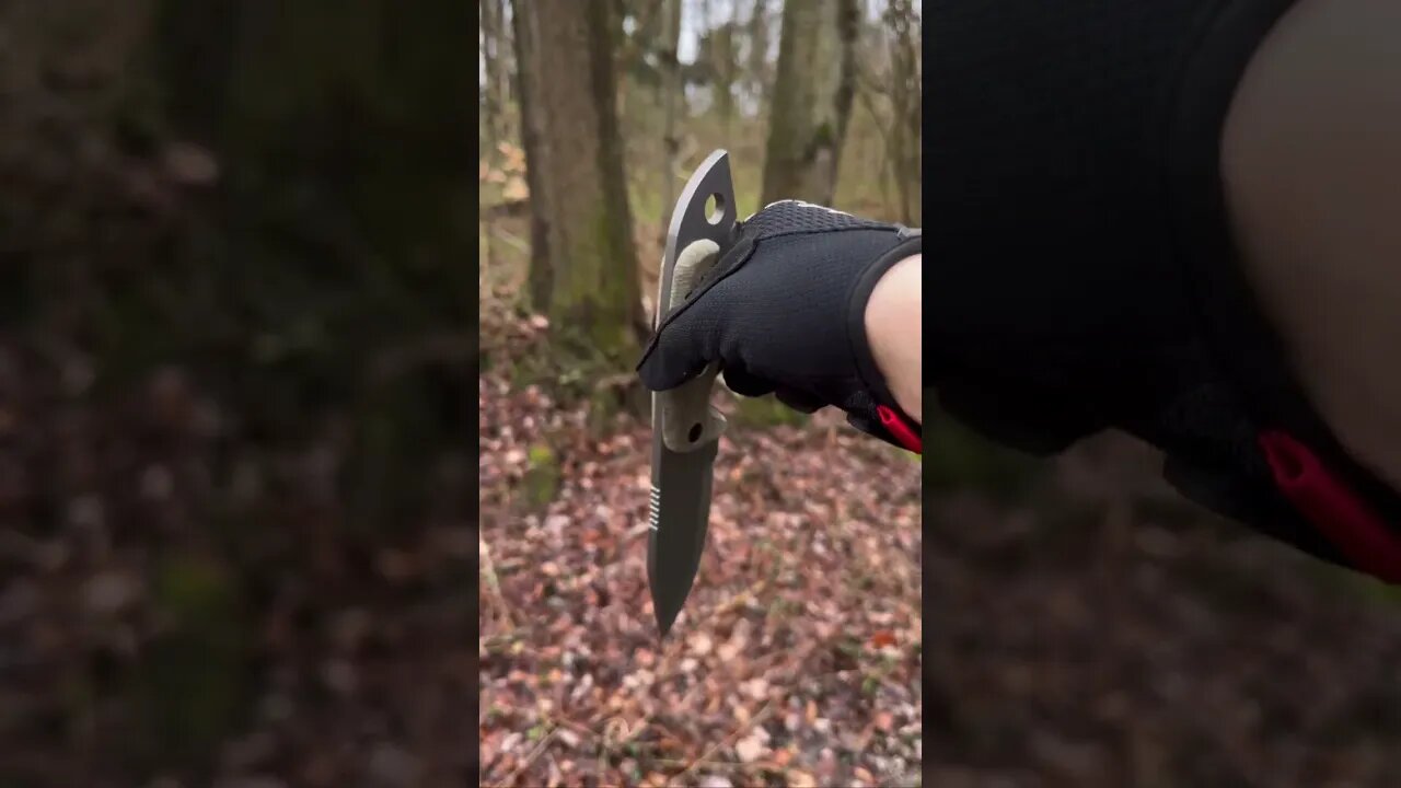 NOW AVAILABLE: 2023 Shed Knives Tuatara | Shed Knives #shedknives #shorts