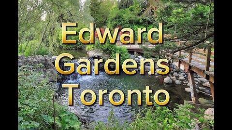 Edward gardens let’s explore