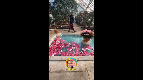 BEAUTIFUL FLOWERS IN A FOUNTAIN!