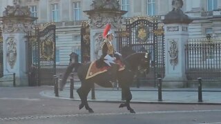 Household cavalry leaving Buckingham Palace #buckinghampalace