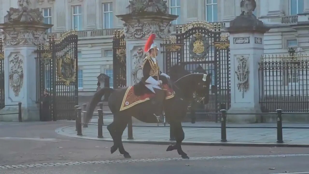 Household cavalry leaving Buckingham Palace #buckinghampalace