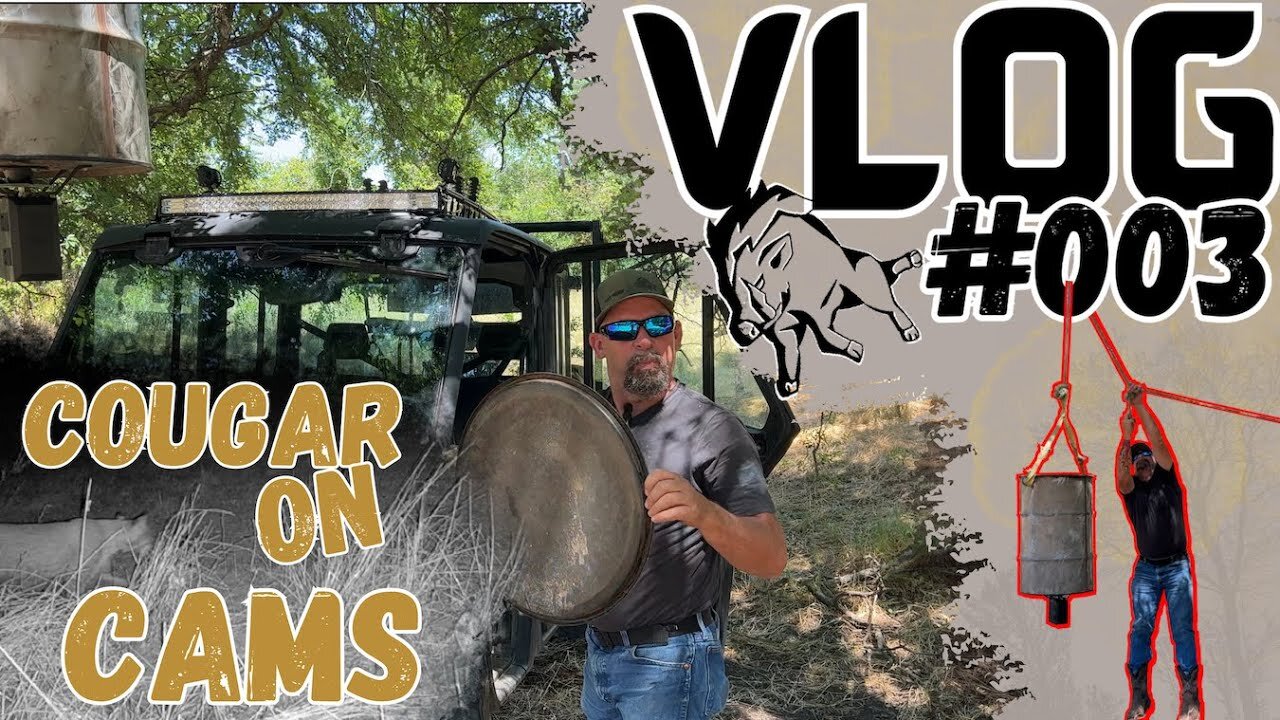 VLOG #003 | Cougar On Cams & Tree Feeder Setup!