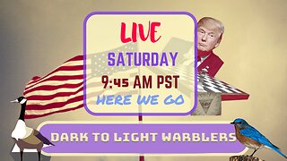 Saturday *LIVE* Dark To Light Warblers Edition