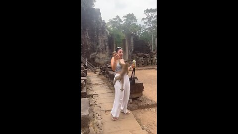 Monkey Steals Woman's Drink 🐒