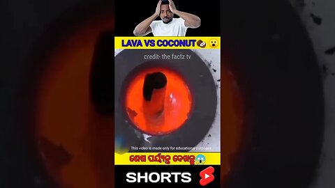 କିଏ ଜିତିବ ଲାଭା ନା ନଡିଆ#odia#odiagapa#gapa#odiastory#natiacomedy#youtubeshorts#shortsvideo#shortsfeed