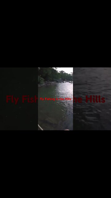 #viral #flyfishing #bass #guadalupe #flow #rapids #river #creek #hillcountry