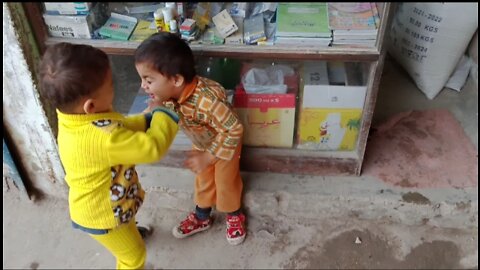 These two cute cousins are good Boxers.